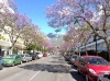Marbella behöver 5 000 mantalsskrivna till för att klassas som storstad och beviljas de högsta statliga anslagen.