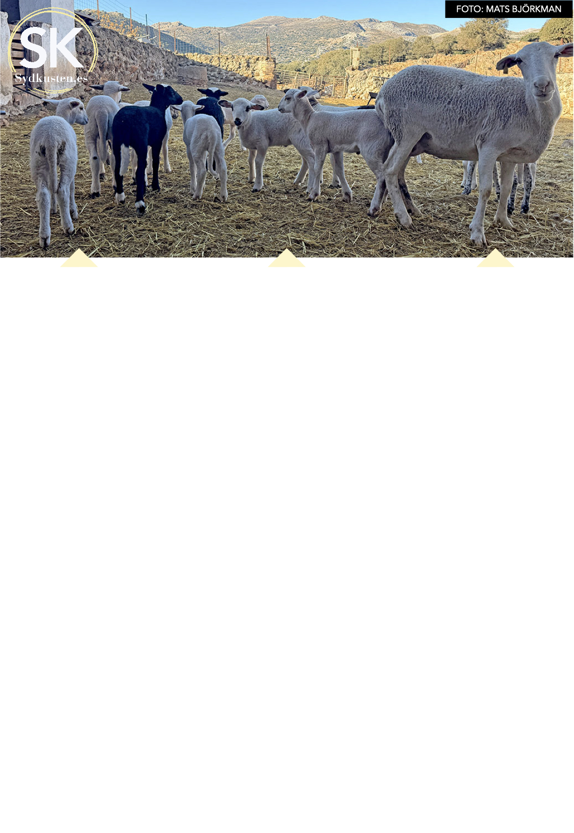 Kryss f&ouml;r utskrift