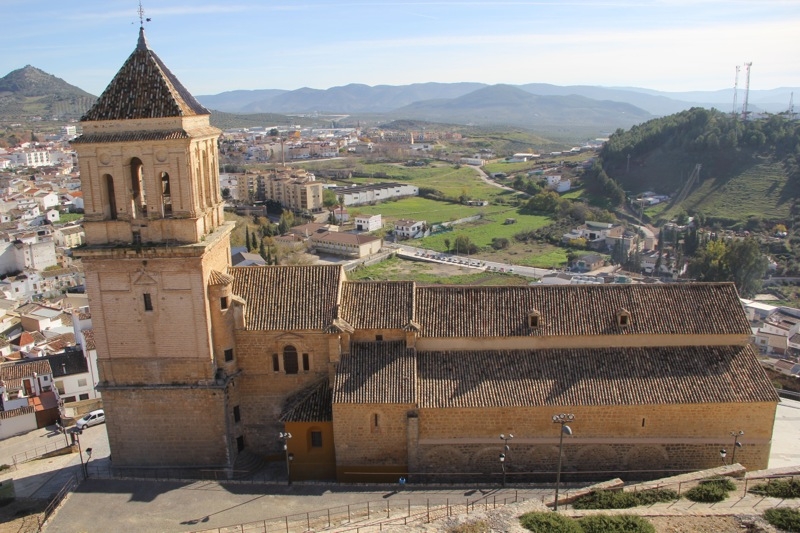 Foto från Sydkustens tredje resa till Jaénprovinsen, i samband med olivskörden 2014. CASTILLO DE CALATRAVO (ALCAUDETE) Fotograf: Richard Björkman