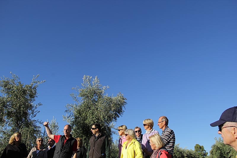 Sydkusten arrangerade 21-23 oktober 2015 den fjärde resan till Jaénprovinsen, med fokus på olivskörden.