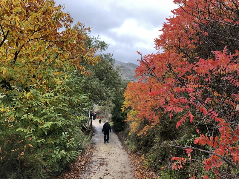 Foto från vandringen 17 november 2018 i Valle del Genal.