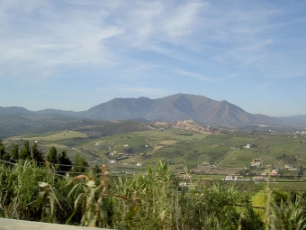 Flera bränder har uppstått nära Valle Romano, väster om Estepona.