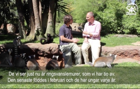 Klicka nedan för att se filmen.