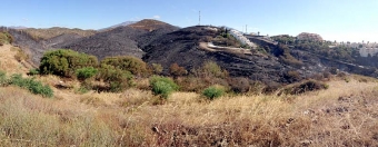 Branden 6 juli hotade ett flertal bostäder, men begränsades slutligen till naturmark.