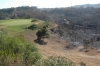 Den förkolnade marken intill tvåans green på El Chaparral Golf.