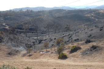 Mijas har drabbats av fyra naturbränder bara den senaste månaden.