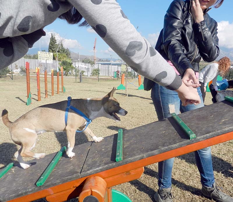 Nu kan även Benalmádenas hundar ha kul i sin egen park.