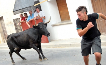 Antalet festligheter med tjurar ökade förra året med drygt 2 000 i Spanien. I sommar har tolv personer stångats ihjäl i olika samhällen. Foto: Gran Angular Servicios de Imagen