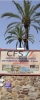 CFS-skylten vid Golden Mile har väckt mångas nyfikenhet, men retade tidigare borgmästaren Jesús Gil y Gil..!