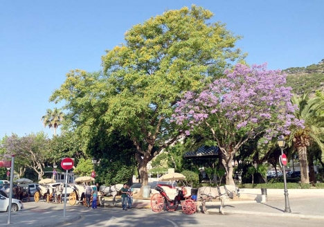 Ett hundratal parkeringsplatser och ett flertal träd ska ge plats för gågator vid Plaza Vírgen de la Peña.