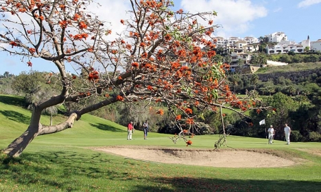 Partävlingen på Los Arqueros Golf fick skjutas upp en vecka och spelades till slut i vacker inramning.