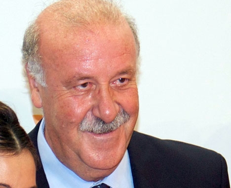 Vicente del Bosque slutar efter åtta år som landslagskapten.