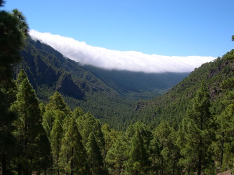 Lågorna har ännu ej nått nationalparken Caldera de Taburiente. Foto: Luc Viatour/Wikimedia Commons