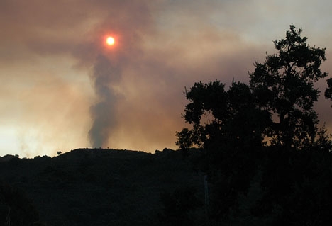 Ett flertal anlagda bränder har gäckat Galicien den senaste veckan.