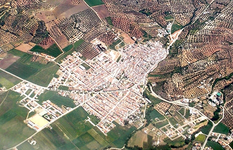 Satellit- och drönarbilder har avslöjat en stor mängd svartbyggen i Málagaprovinsen.
