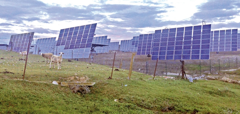 Det är lätt som elabonnent att agera som ett får och tro att energimarknaden är reglerad på bästa tänkbara sätt. Spanska elbolag bryter dock mot EU-direktiven, bland annat vad gäller den beryktade solskatten.