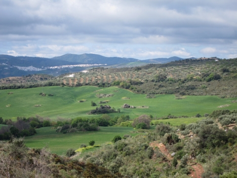 Periana ligger naturskönt öster om Málaga, men på sommaren är brandrisken stor. Foto: Tyk/Wikimedia Commons