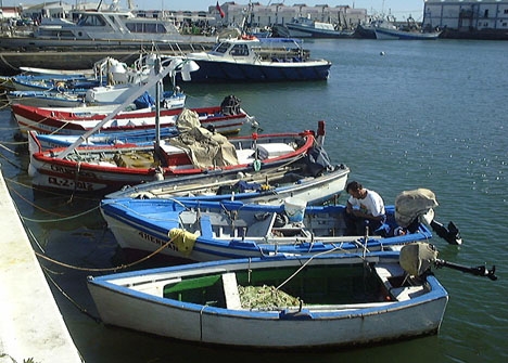 Kroppen hittades flytande i vattnet i fiskehamnen i Estepona.