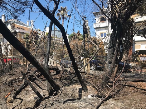 Branden vid Dominion Beach där ett flertal svenskar bor nådde husknutarna. 
