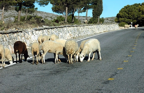 Det är inte bara radarkontrollerna som gör att man bör köra försiktigt mellan Ronda och kusten.
