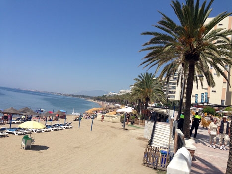 Delfinen hade strandat vid den centrala Fontanilla-stranden i Marbella.