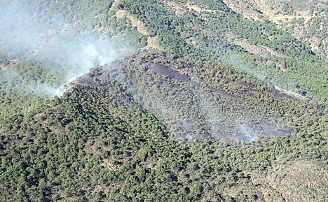 Branden omfattar främst pinjeträd i ett svårtillgängligt bergsområde. Foto: Infoca