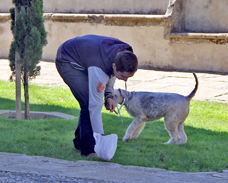 Hundägare i Málaga kan nu bötfällas inte bara för att ej plocka upp spill efter sina djur, utan även om de inte DNA-registrerat vovven.