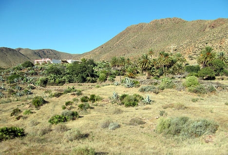 Det senaste morddramat i Spanien inträffade i idylliska Cabo de Gata, i Almeríaprovinsen.