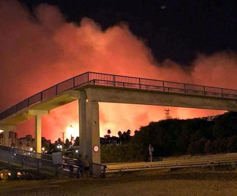 Branden utbröt natten till 30 juli. Foto: Protección Civil Manilva