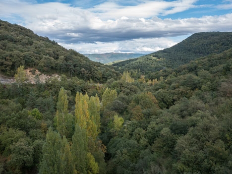 Mer än halva Baskien är täckt av skog. Foto: Basotxerri/Wikimedia Commons