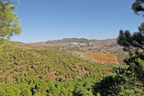 Finca Solmark är en gård införskaffad i mars 2018, med både gamla olivträd och nyplanterade avokadoträd, mellan de två naturområdena Sierra de las Nieves och Sierra de Aguas.