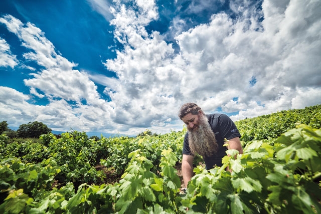 Raúl Pérez har revolutionerat vinbranschen i Spanien och har till och med erkänts av franska experter. Foto: Studio LRX