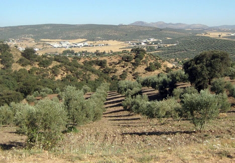 Villanueva del Trabuco ligger endast 60 kilometer från Totalán. Foto: Julen Iturbe-Ormaetxe/Wikimedia Commons