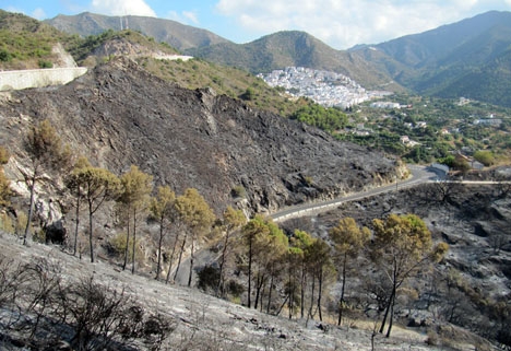 Storbranden 2012 skövlade 8 225 hektar i Ojén och ytterligare fem kommuner på västra Costa del Sol.