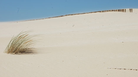 Om den nuvarande tendensen best&aring;r kommer temperaturerna i M&aacute;lagaprovinsen att bli som de i dagsl&auml;get i Centralafrika.