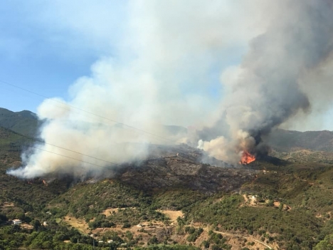 På tisdagsmorgonen har flyg och helikoptrar åter anslutit sig till bekämpningsarbetet. Foto: Ayto de Estepona