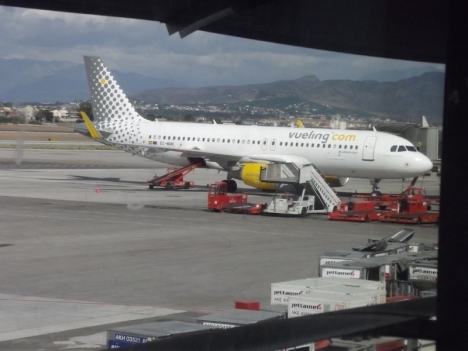 Flygförbundet ALA efterlyser förlängda statliga bidrag till frånvarande anställda, till och med påsk.
