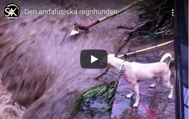 Klicka nedan för att se filmen.