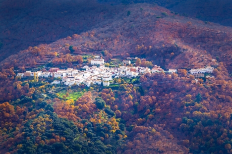 Parauta ligger i Serranía de Ronda, i Málagaprovinsen.
