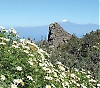 Vi har tur, dagen är klar, himlen blå och vi ser ända till Teides snöklädda topp på Tenerife.