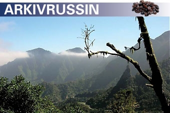 Urskogen på La Gomera är tolv miljoner år gammal. Här finns Europas renaste luft och nationalparken Garajonay förklarades världsarv av UNESCO 1986.