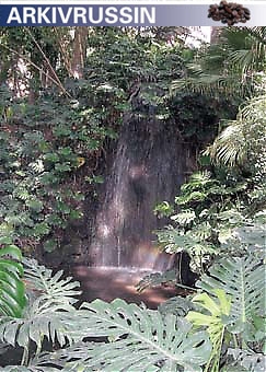 Rinnande vatten i form av bäckar och små vattenfall utgör ett viktigt inslag i trädgården och hjälper till att skapa ett harmoniskt och tropiskt lugn.