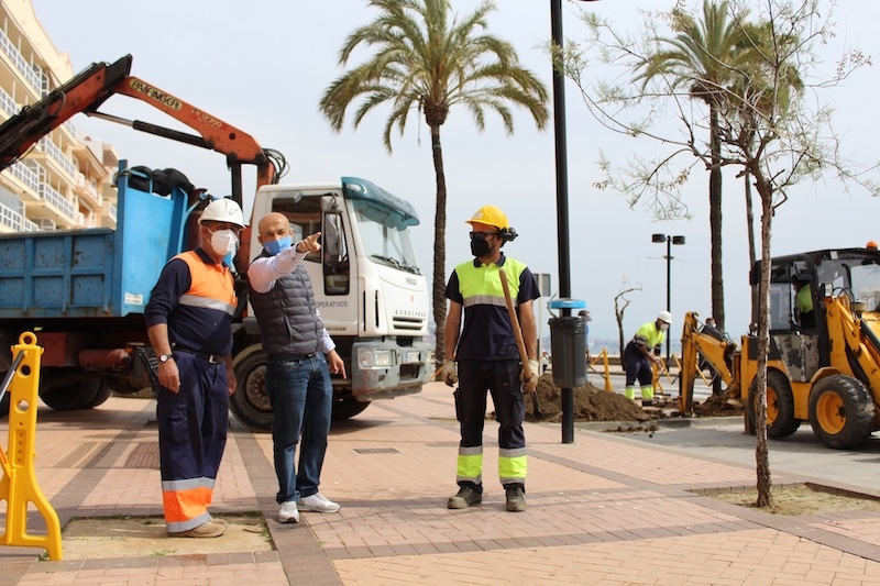 Fuengirolas strandpromenad får 455 nya palmer istället för träden som stått där hittills och som är i dåligt skick på grund av en obotlig sjukdom. Foto: Ayuntamiento de Fuengirola