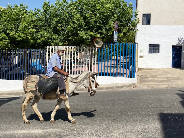 Provinsen Jaén, liksom Granada och Almería, befinner sig nu i extrem smittrisk.