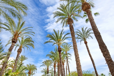 Endast 2015 har det registrerats högre temperatur i maj i Alicante stad, än på söndagen 16 maj.