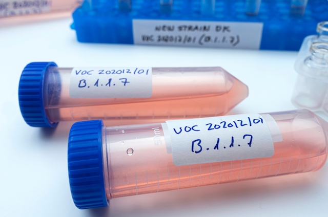 Den brittiska mutationen uppges stå för majoriteten av smittfallen i Spanien i dagsläget.