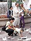 Både gammal och ung matar gärna duvorna på Plaza de la Virgen i Valencia.