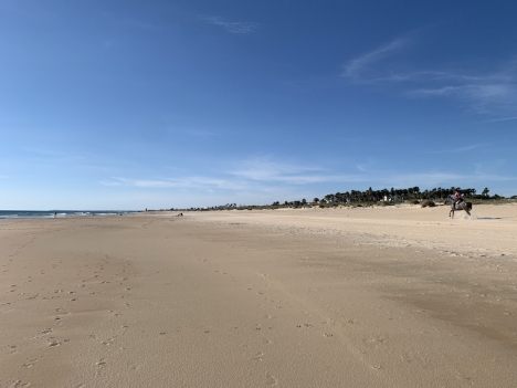 Att kunna hemestra i Andalusien, en oändlig skattkista av annorlunda resmål, är kanske det största värdet med att bo på Costa del Sol.