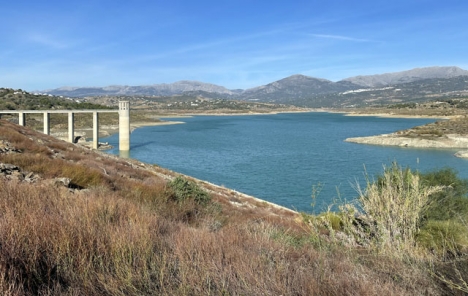 Olivodlingarna i Axarquíaområdet är de första att lida restriktioner när vattenbristen ökar.
