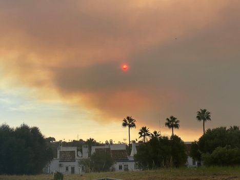 Brandröken ligger på torsdagsmorgonen 9 september tät över Estepona.